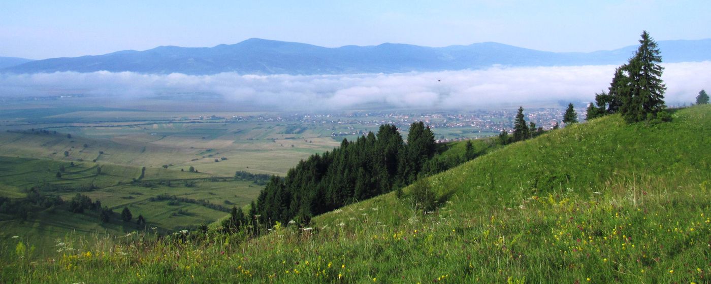 Nádvoří Pražského hradu — komplexní prohlídka